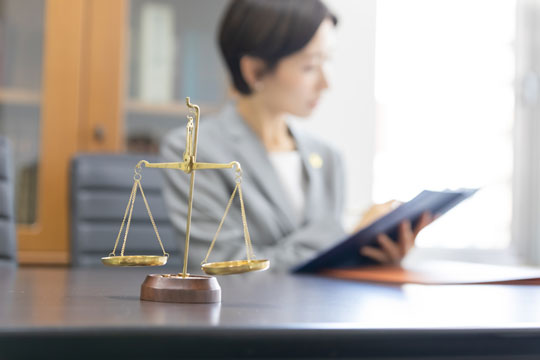 受任に基づく弁護士活動を行います。